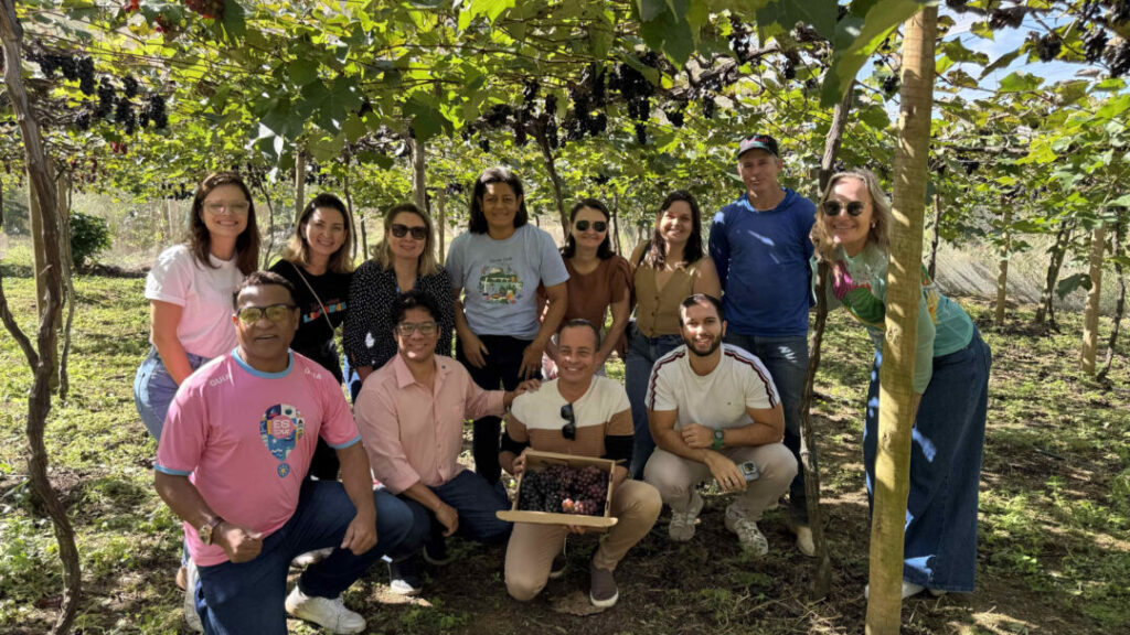 Visita ao parreiral uvas Rigoni (Foto: Divulgação/Sebrae-ES)