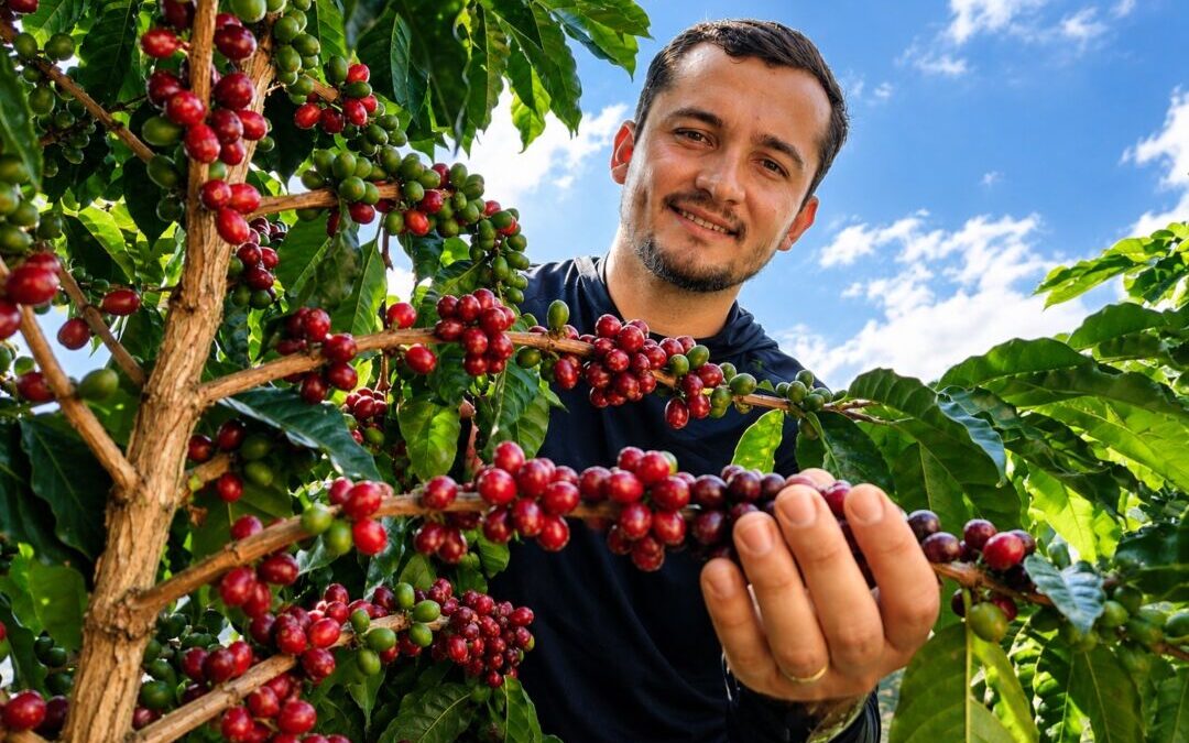 Com apoio do crédito rural, cafeicultor moderniza a propriedade e amplia a produção