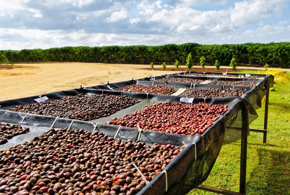 RuralturES 2026 terá espaços com rotas turísticas, gastronomia e experiências rurais do Estado